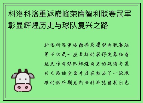 科洛科洛重返巅峰荣膺智利联赛冠军彰显辉煌历史与球队复兴之路 科洛科洛重返巅峰荣膺智利联赛冠军彰显辉煌历史与球队复兴之路